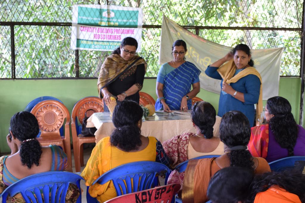 Training on Fruit & Vegetable processing