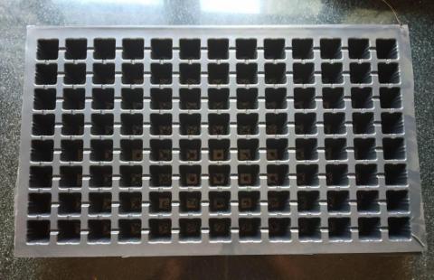 Pro-Tray Pro-Tray