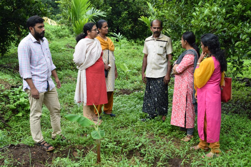 AS a part of FLD Organic Management of Sigatoka leaf spot of banana at Pariyaram Dtd 22.07.2019