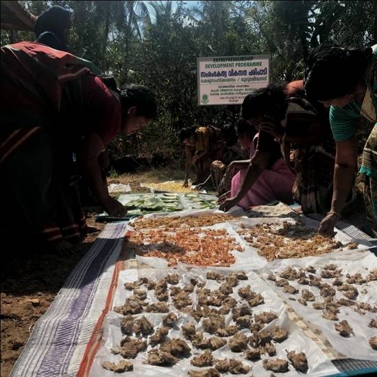 value addition in jack fruit