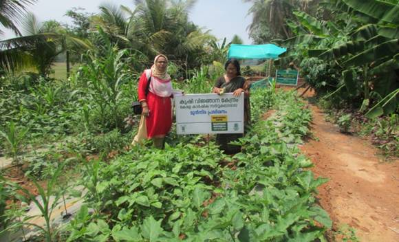 precision farming techniques in open vegetable cultivation