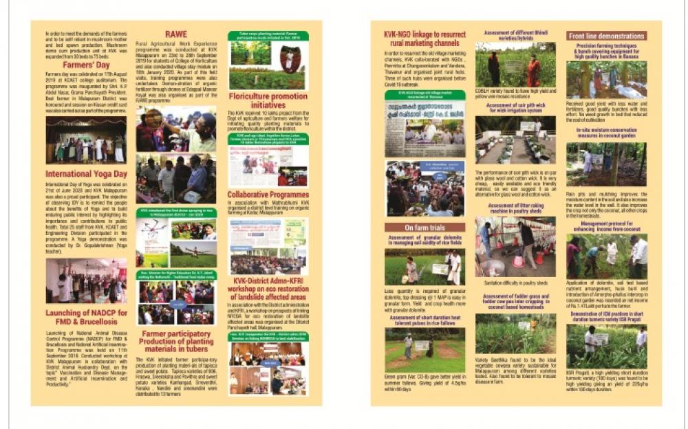 newsletter 2020