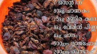 Embedded thumbnail for മഞ്ഞൾ കൃഷി( Turmeric cultivation)