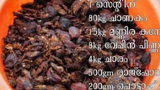 Embedded thumbnail for മഞ്ഞൾ കൃഷി( Turmeric cultivation)