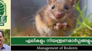 Embedded thumbnail for എലികളും നിയന്ത്രണ മാർഗ്ഗങ്ങളും