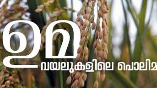 Embedded thumbnail for IMPACT OF UMA | ഉമ, വയലുകളിലെ പൊലിമ | Kerala Agricultural University | കേരള കാർഷിക സർവ്വകലാശാല