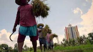 Embedded thumbnail for Rice Research Station Vyttila | നെല്ല് ഗവേഷണ കേന്ദ്രം വൈറ്റില |Kerala Agricultural University