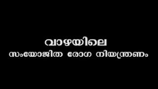 Embedded thumbnail for വാഴയിലെ സംയോജിത രോഗ നിയന്ത്രണം (Integrated Disease Management in Banana)